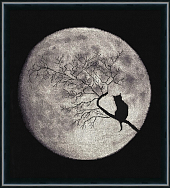 Вышивка С-009 Лунная соната