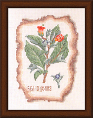 Вышивка КК-004 Беладонна Вышивка КК-004 Беладонна